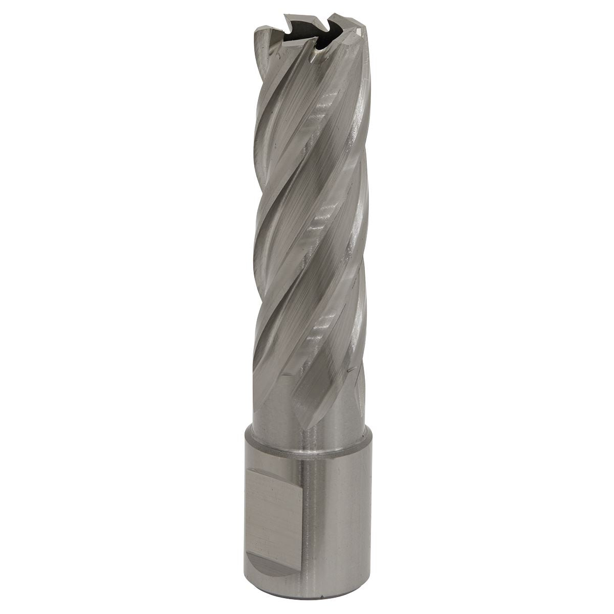 Worksafe by Sealey Mag Drill Bit HSS Ø17mm - Cut Depth 50mm