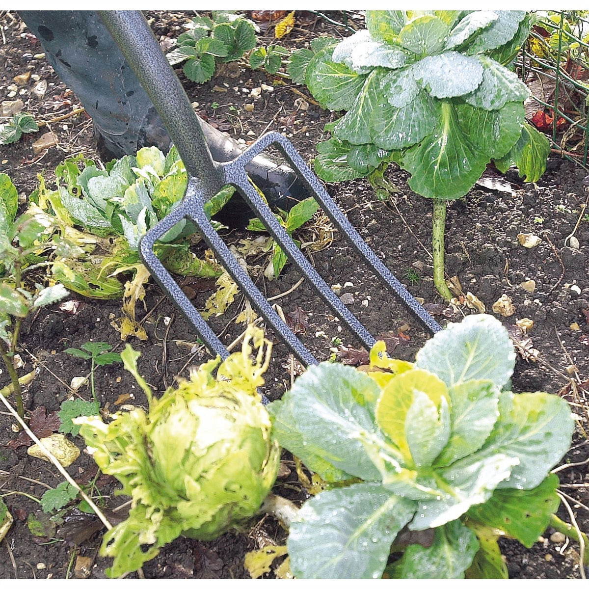Draper Carbon Steel Garden Fork 88789  White Rose Tools