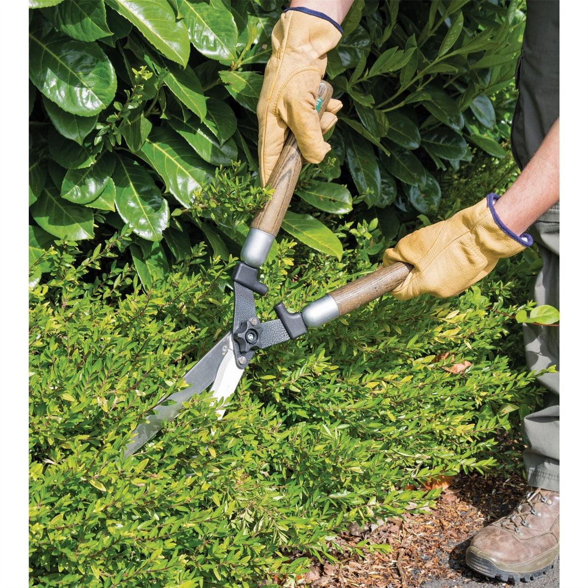 Draper Heritage Garden Shears with Wave Edges and Ash Handles 230mm 36792  White Rose Tools