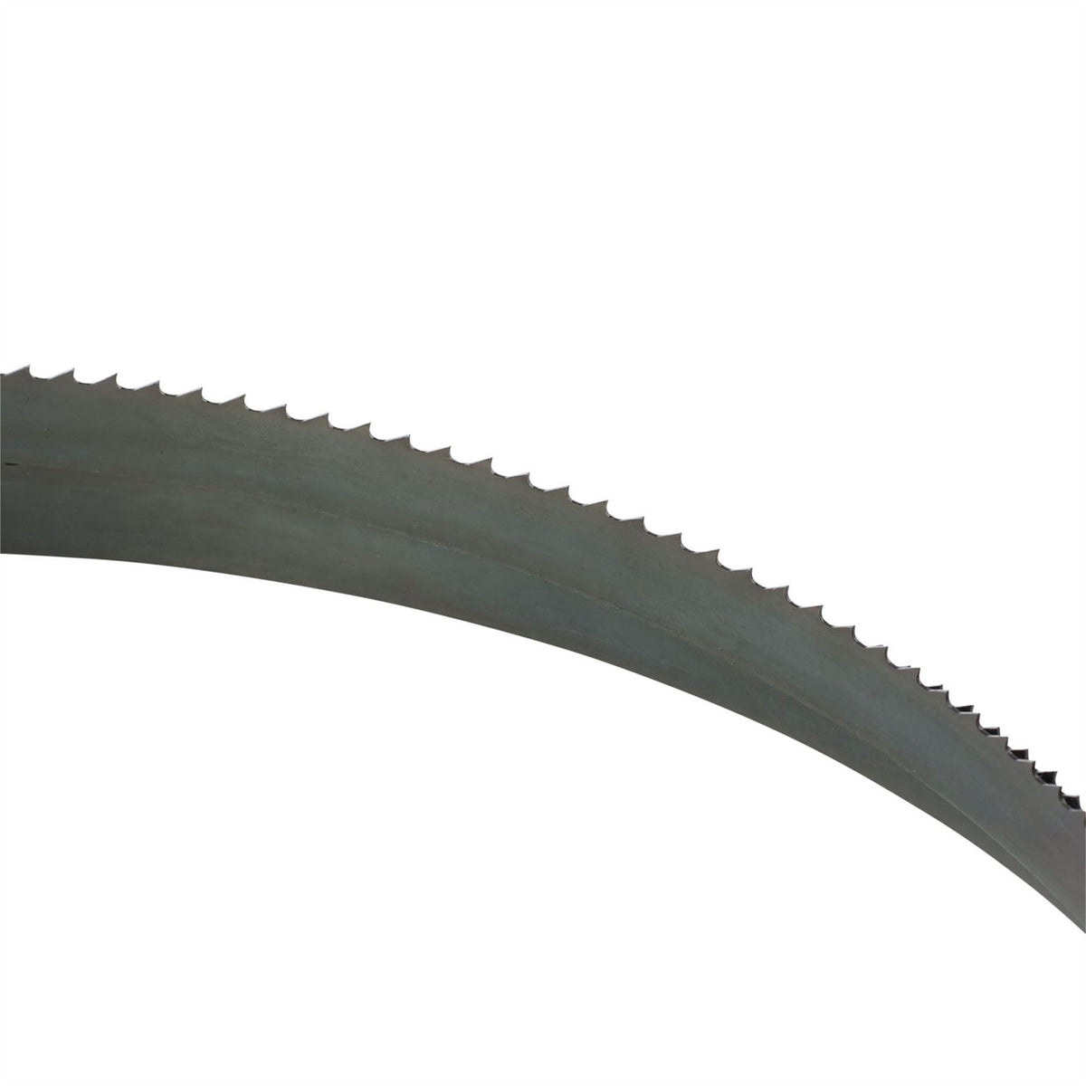 Draper Bandsaw Blade 2560mm x 1/2" 6 skip 76740  White Rose Tools