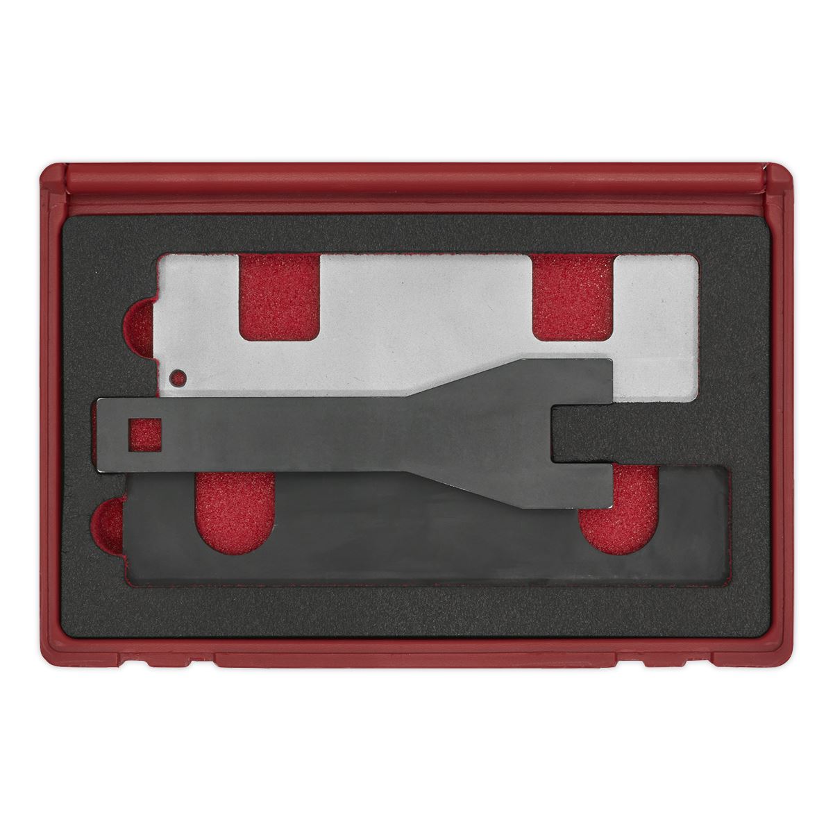 Sealey Petrol Engine Timing Tool Kit - for GM 1.0/1.4 Chain Drive